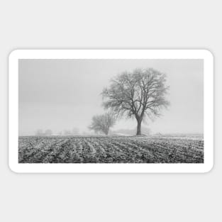 Winter Fields Sticker